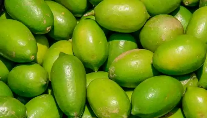 Kaji Nemu Declared As Assam's 'State Fruit'; Know Why It's Good For Your Health